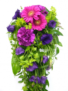 gallery/ukonhattu hääkukat