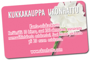 gallery/ukonhattu kanta-asiakas